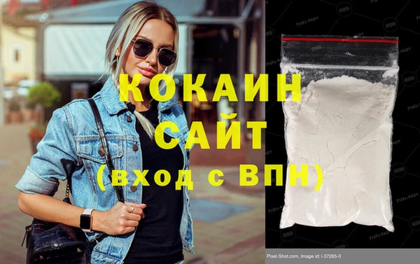 соль ск Инсар
