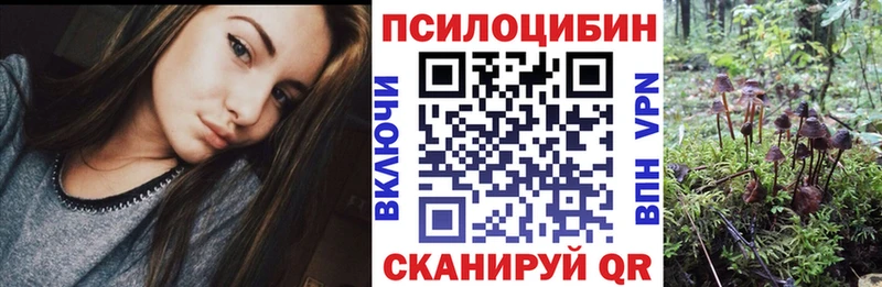Галлюциногенные грибы Cubensis  ОМГ ОМГ маркетплейс  Туринск 